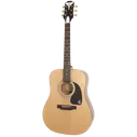 Epiphone PRO-1 ACOUSTIC NA
