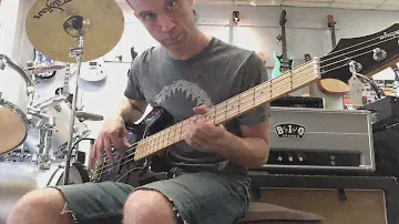 Epiphone Accu Bass