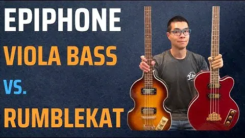 Epiphone Viola bass vs. Epiphone Rumblekat bass - Sonic comparison!
