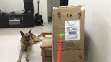 Epiphone ES 339 ultra unboxing and testing