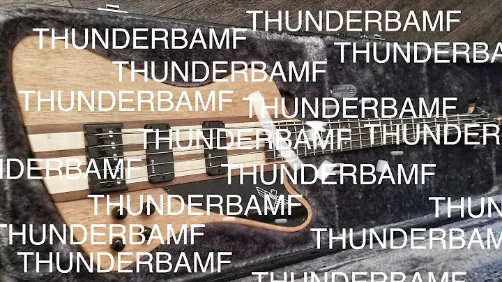 Thunderbirds are the best bass guitars ever made