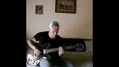Epiphone 335