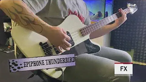 epiphone thunderbird