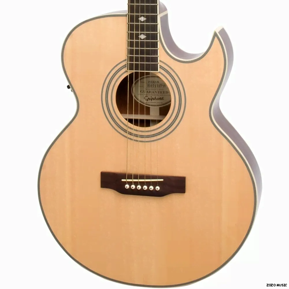 Epiphone Epiphone PR-5E NATURAL GOLD HDWE-2