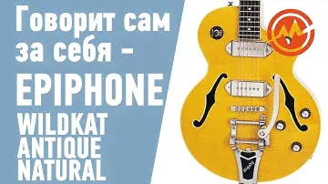 EPIPHONE WILDKAT