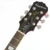 Epiphone LP Standard pro
