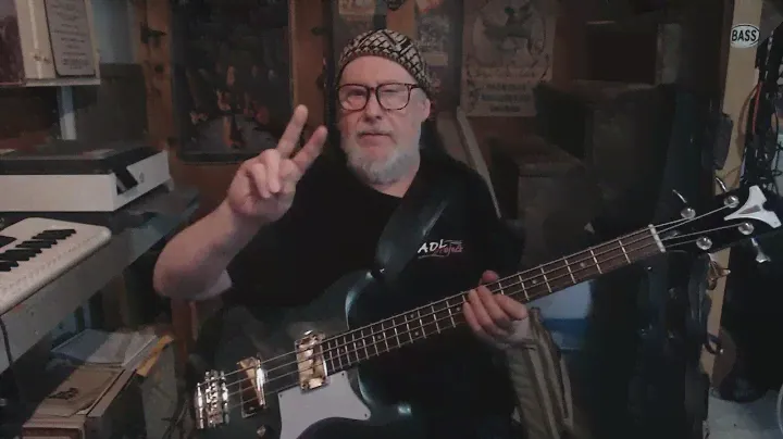 Epiphone Newport Bass pros and cons