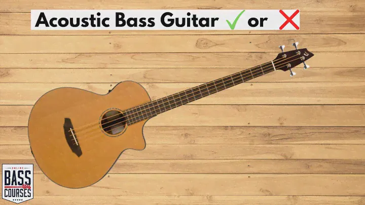 Acoustic Bass Guitar: What Does It Sound Like & When Would You Use One?