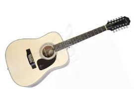 Epiphone DR-212