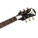 Epiphone Pro-1 Plus VS