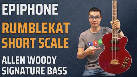 Epiphone short scale Rumblekat Allen Woody signature semi-hollow bass - Review