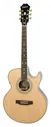 Гитара электроакустическая шестиструнная EPIPHONE PR-5E NATURAL GOLD HDWE