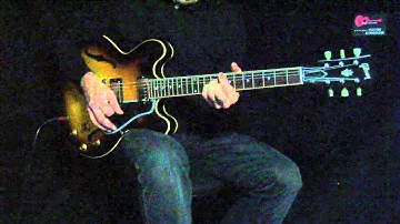 Guitar-View.com Gibson ES-335 vs. Epiphone Sheraton II
