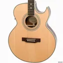 Epiphone Epiphone PR-5E NATURAL GOLD HDWE