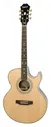 ЭЛЕКТРОАКУСТИЧЕСКАЯ ГИТАРА EPIPHONE PR-5E NATURAL GOLD HDWE (W/ SHADOW PREAMP)